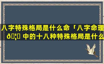 八字特殊格局是什么命「八字命理 🦆 中的十八种特殊格局是什么」